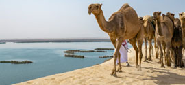 Explore Al Ahsa