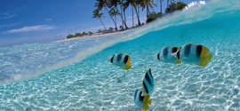 Dazzling Bali