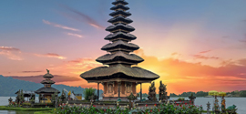 Aquatic Bali