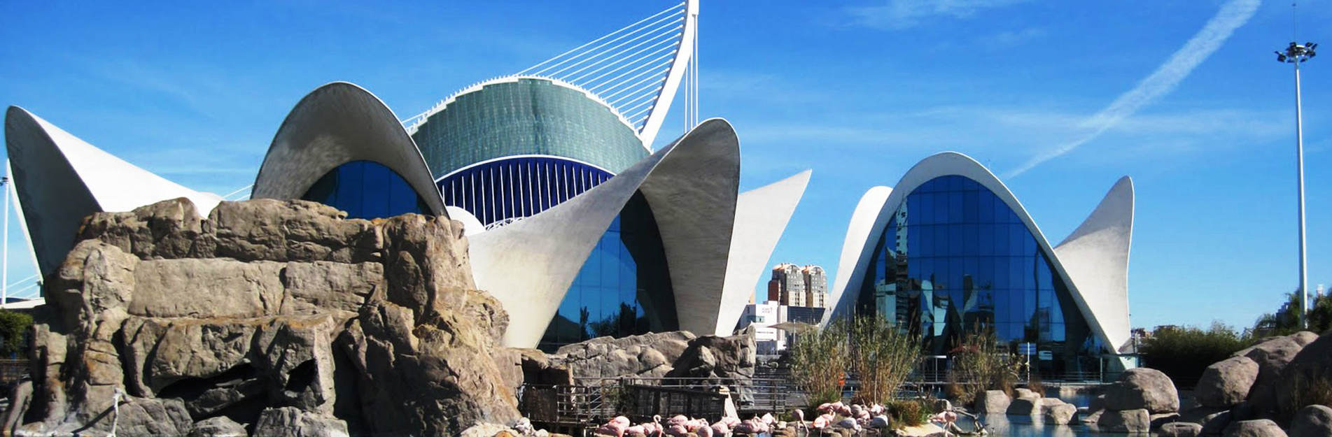 Spain Beauty